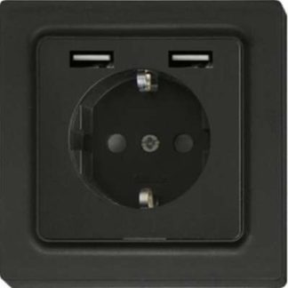 Розетка SCHUKO DSS55E+2xUSBA-am антрацит матовый 30055899