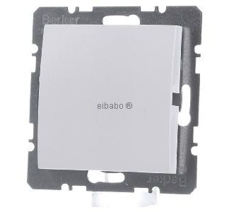 Белая полярная шапка + центральный элемент - Базовый элемент с центральной крышкой 10091909