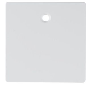 Центральный элемент для выключателя и кнопки 11466089