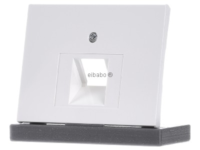 Центральная пластина Polar White для распределительной коробки ОАЭ - Центральная крышка для ОАЭ/IAE (ISDN)...