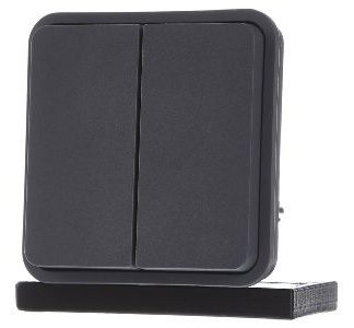 Вставка для кнопки серии 2x светло-серого цвета - Кнопка переключения 50423515