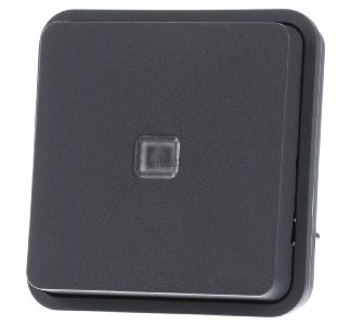 Вставка для переключателя с подсветкой, светло-серый цвет - 1 кнопка тумблера, серая