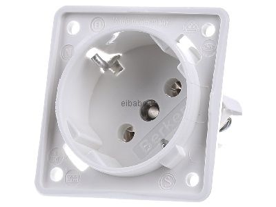 Розетка Schuko, полярный белый цвет, 45 градусов, дамаскированная - Электрическая розетка 841852522