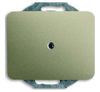 Центральная крышка диска из палладия - невидимая защитная крышка 1742-260