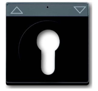 Центральная антенна для замка зажигания - заглушка 1755 SL/PZ-81-101