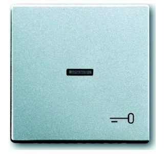 Клапан Alusi с символом ключа - Крышка для переключателя/кнопки 1789 TR-83