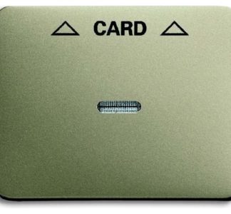 Центральная пластина из палладия для карточного выключателя - накладка на выключатель/кнопку 1792-2...