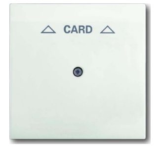 Центральная панель для выключателя карт Studio белого/матового цвета 1792-774