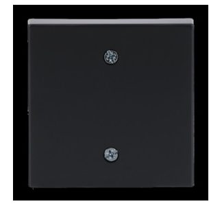 Центральный диск, антрацитовая крышка - Накладка для выключателя/кнопки 1796-81 гг.