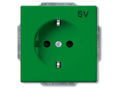 Вставка для розетки SCHUKO, зеленая, RAL6032 - Электрическая розетка (20 EUC-13-82-101)
