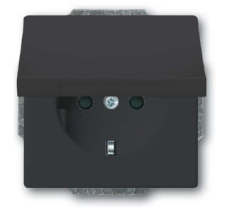 Вставка для розетки SCHUKO антрацитового цвета - Розетка (20 EUKB-81)