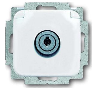 Вставка для розетки Alpine - электрическая розетка 20 EUKSL-214