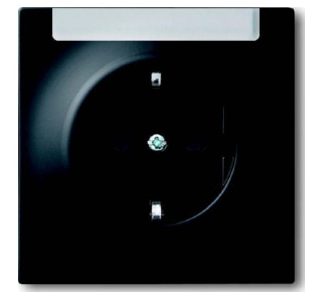 Вставка для розетки. Поле описания, черно-белое матовое - Розетка (20 EUN-775)