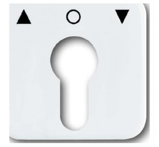 Белая альпийская крышка для профильной полувставки - Белая крышка переключателя 2557 PZ-214-101