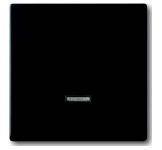 Элемент управления, сенсорное устройство управления с памятью Busch 6543-885-101