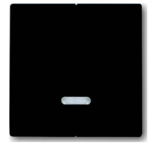 Элемент управления с люминесцентной лампой - Крышка для диммера антрацитового цвета 6545-81