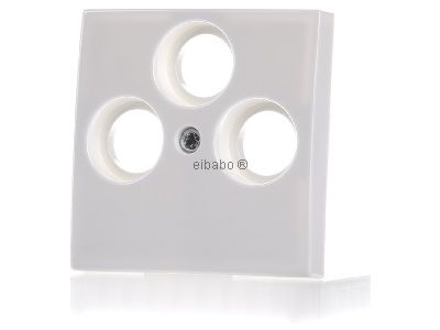 Крышка разъема антенны, 3 отверстия, цвет Alpine White, центральная крышка 1743-03-914