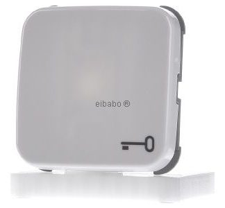 Переключатель-качелька белого цвета с символом ключа - Накладка на переключатель/кнопку белого цвета 2520 TR-214