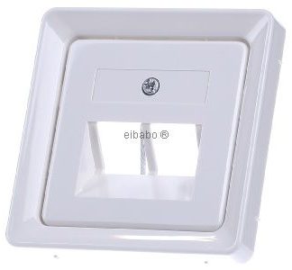 Центральная пластина RW ОАЭ 2xRJ45, Rutenbeck - Центральная крышка ОАЭ/IAE (ISDN) 206414