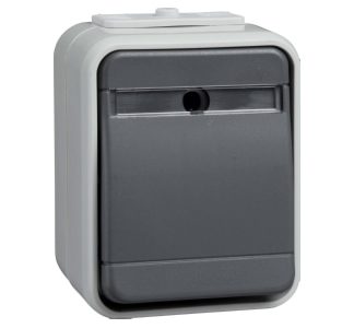 Кнопка поверхностного монтажа LG/DG 44 с этикеткой - однополюсная (НО) серая 442129