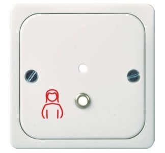 Инструмент для извлечения центральной пластины, чисто белый - клиническая установка центрального элемента 735834