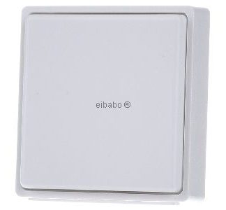 Беспроводная миниатюрная кнопка, чисто белый цвет FMT55/2-RW