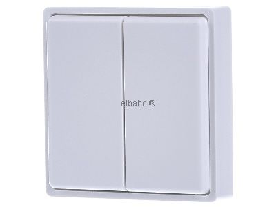 Беспроводная миниатюрная кнопка, чисто белый цвет FMT55/4-RW