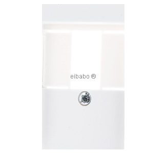Центральная пластина TAE Pure White - базовый элемент с центральной крышкой 027627