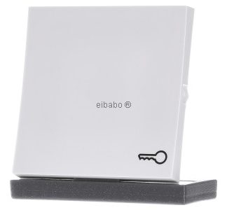 Распашная дверь, чисто белый/глянцевый цвет - Накладка на выключатель/кнопку, белая 0287112