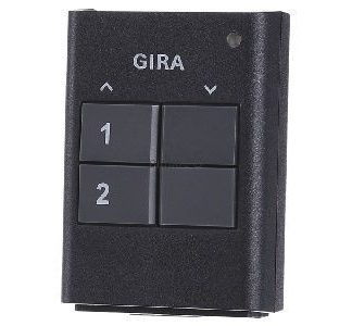 Ручной радиопередатчик 2x муравейник - интеллектуальный элемент управления антрацитового цвета 535210