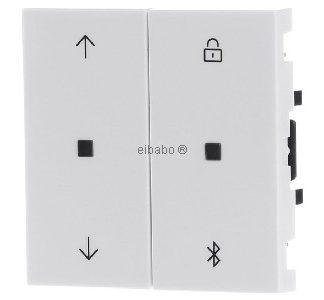 Рулонная штора + таймер Bluetooth Sys.55 rwm - интеллектуальный элемент управления, белый 536727