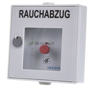 Ручной переключатель, серый, 24 В, 1 контакт - Ручной триггер для оповещения об опасностях DKT 01 gr