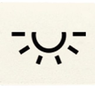 Белый значок LIGHT - Маркировка для коммутационного устройства National Switching Device 33 L