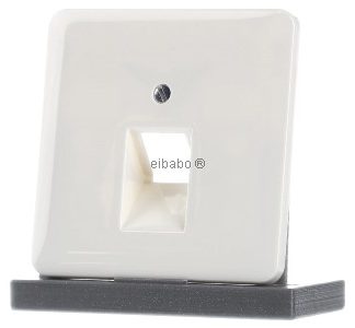 Белая крышка розетки IAE/ZEA — пластина ZEA/IAE (ISDN) 569-1 UA