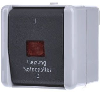 2-контактный аварийный выключатель отопления - 2-полюсный выключатель на поверхности, серый, 802 HW