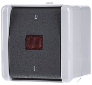 2-полюсный накладной выключатель серого цвета 802 KOW