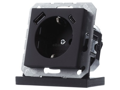 Розетка SCHUKO с USB-разъемом переменного тока - Вилка A1520-15CASWM