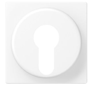 Крышка выключателя зажигания A528PLWWM