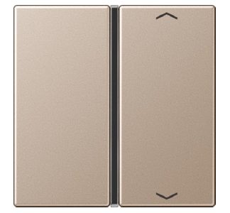 1x Главная кнопка с символами - Крышка для переключателя A 401 TSAP CH