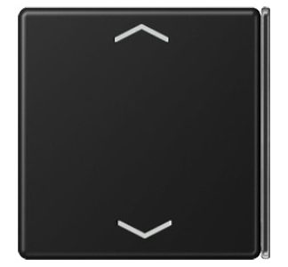 4-позиционная кнопочная панель, графитово-черный матовый цвет - Черная накладка на переключатель A 404 TSAP SWM 23