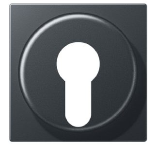 Крышка антрацитового мата - Защитная пластина для антрацитового выключателя A 528 PL ANM