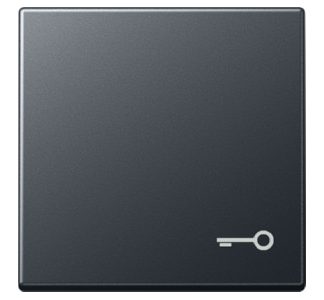 Накладка на переключатель/кнопку Symbol, матовый антрацитовый цвет - A 590 BF T ANM
