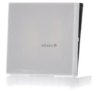 Переключатель-качель, 1 группа, белый альпийский цвет - Накладка на переключатель/кнопку, белая A 590 BF WW