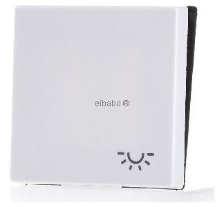Символ ключа LIGHT альпийский белый для выключателя/кнопки A 590 L WW