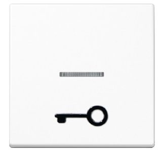 Переключатель-качелька, белый символ ДВЕРИ для подсвечиваемых кнопок A 590 T1KO WW