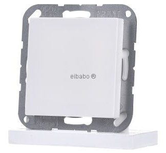 Торцевая заглушка в сборе с несущим кольцом, альпийский белый A 594-0 WW