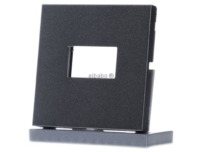 Крышка для USB-блока питания - антрацитовая AL1969USBAN
