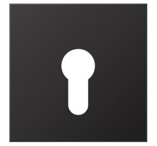 Крышка выключателя зажигания - Алюминиевая накладка для выключателя AL 2925 D