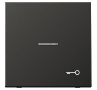 Символ кнопки DOOR антрацитового цвета - Накладка на переключатель/кнопку AL 2990 KO...