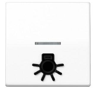 abt.Sym.LIGHT key arctic white для подсвечиваемых кнопок AS 591 L1KO5 WW